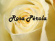 Rosa Pérola
